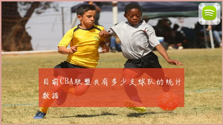 目前CBA联盟共有多少支球队的统计数据