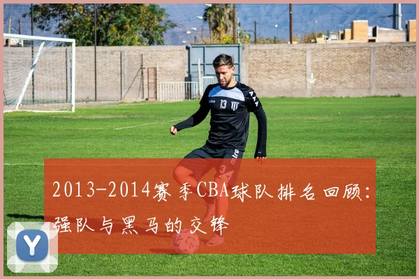 2013-2014赛季CBA球队排名回顾：强队与黑马的交锋