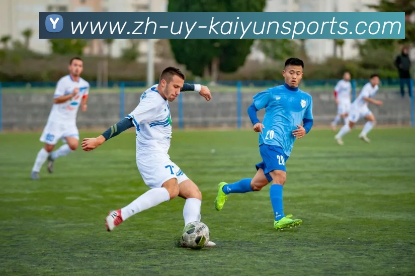 多媒体互动体验