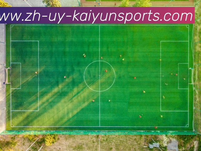 ky开云APP 高清赛事图